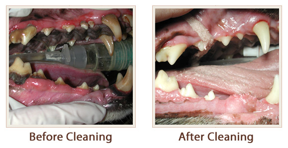 before_after